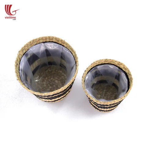 Seagrass Plant Holder Set