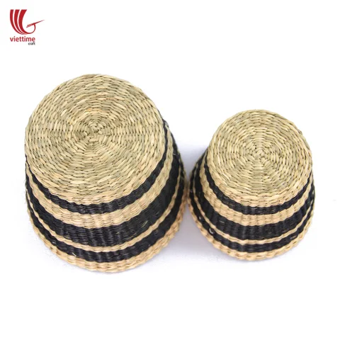 Seagrass Plant Holder Set