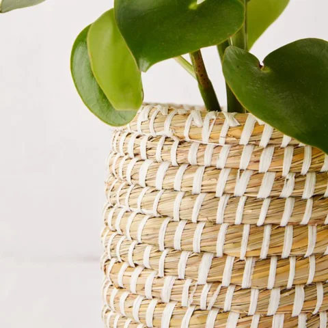 Seagrass Pot Holder Set