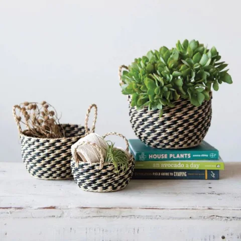 Seagrass Plant Holder Set