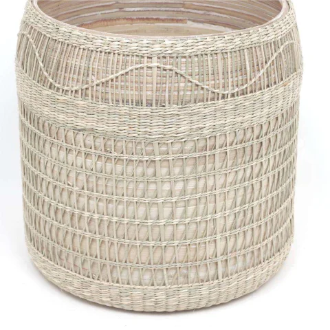 Seagrass Plant Holder