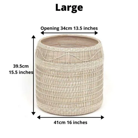 Seagrass Plant Holder