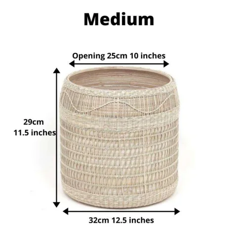 Seagrass Plant Holder