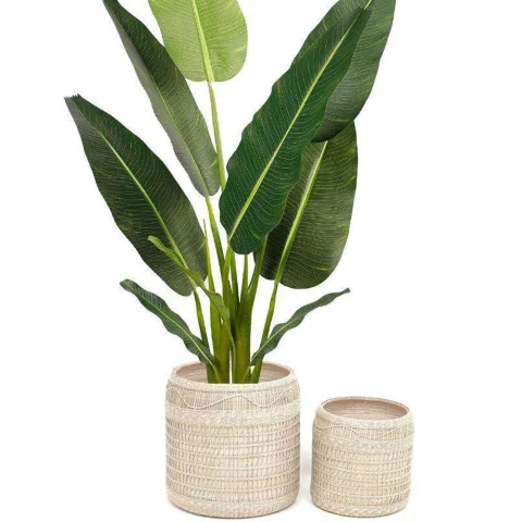 Seagrass Plant Holder