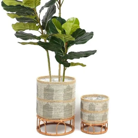 Seagrass Plant Stand Set