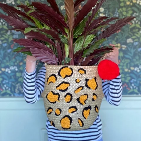 Seagrass Belly Basket