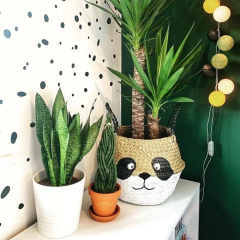 Seagrass Belly Basket