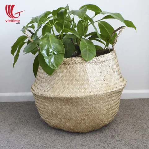 Seagrass Belly Basket Set