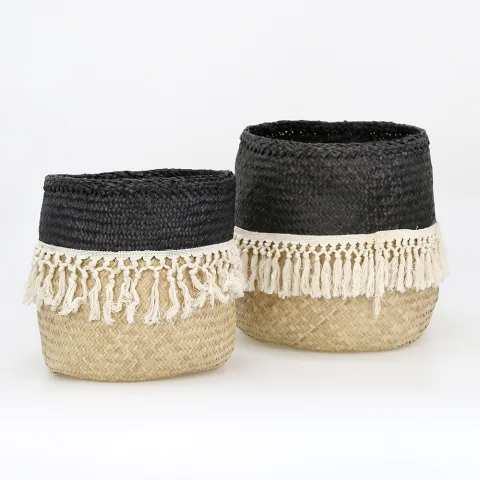 Seagrass Plant Holder Set