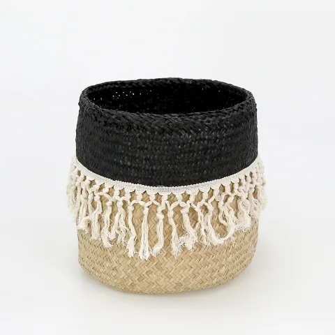 Seagrass Plant Holder Set