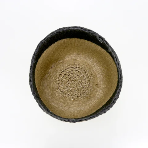 Seagrass Plant Holder Set