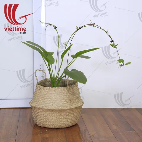 Seagrass Belly Basket