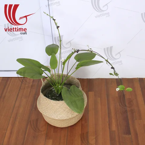 Seagrass Belly Basket
