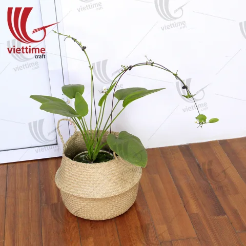 Seagrass Belly Basket