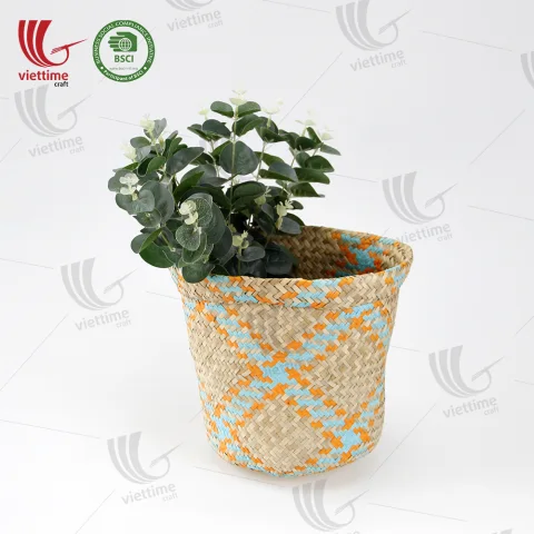 Seagrass Plant Holder