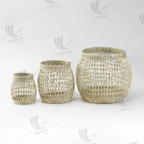 Seagrass Plant Holder Set