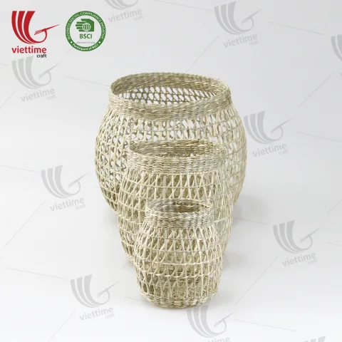 Seagrass Plant Holder Set