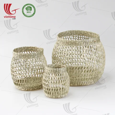 Seagrass Plant Holder Set