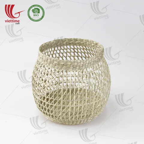 Seagrass Plant Holder Set