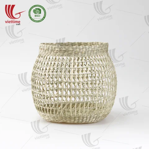 Seagrass Plant Holder Set