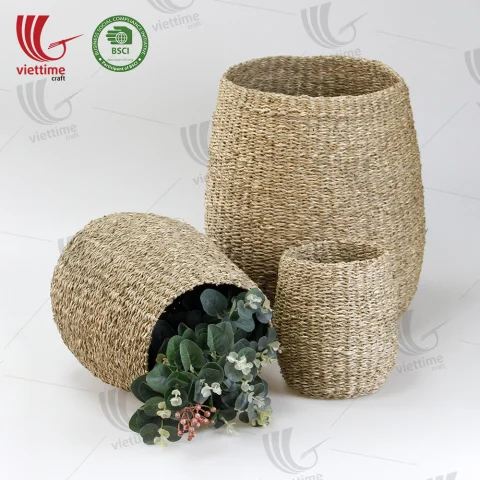 Seagrass Plant Holder Set