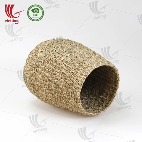 Seagrass Plant Holder Set