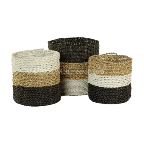 Seagrass Plant Holder Set