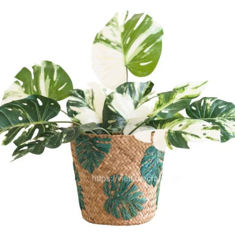 Leaf Embroidery Seagrass Planter Vietnam Wholesale