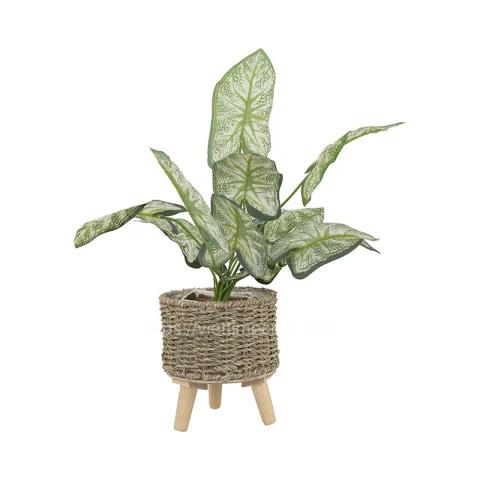 Wholesale Set Of 3 Seagrass Planter Wholesale