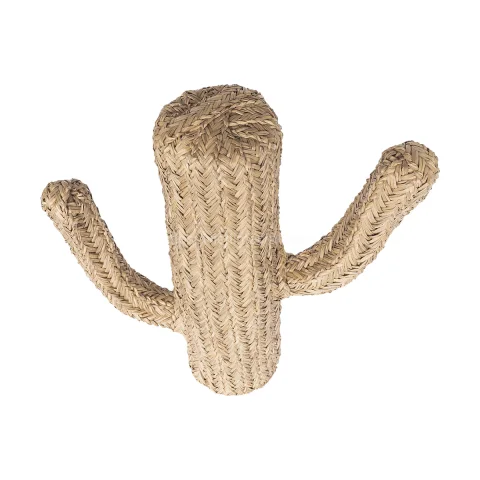 Set of 2 Seagrass Cactus Handmade in Vietnam