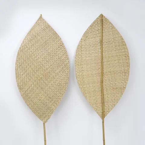 Seagrass Fan Decor Set