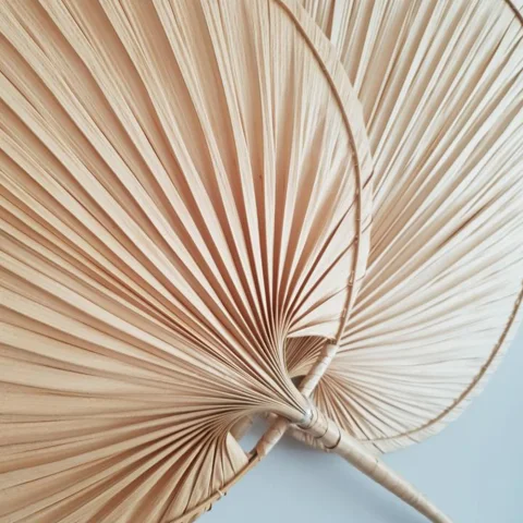 Palm Leaf Wall Fan