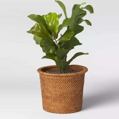 Rattan Plant Holder