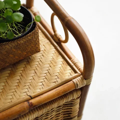 Rattan Cabinet
