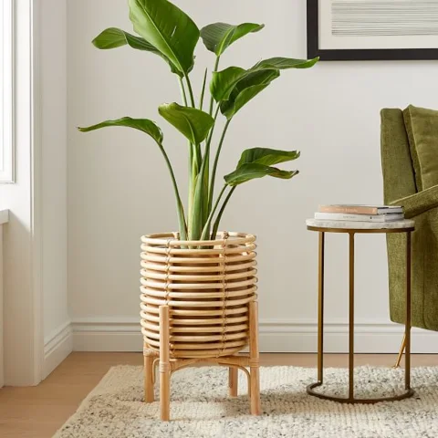Rattan Plant Stand