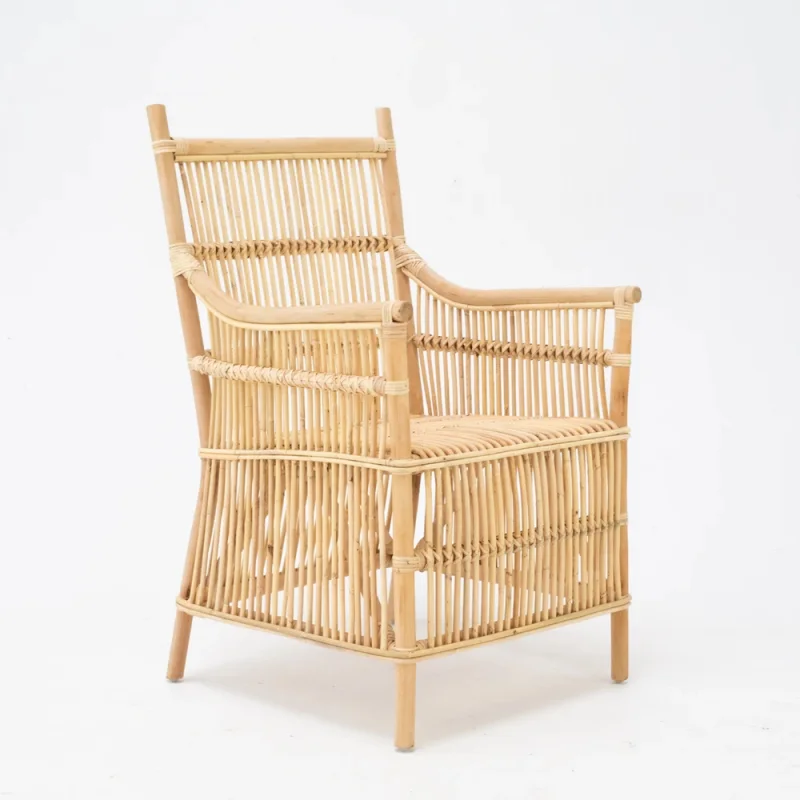 Rattan Armchair
