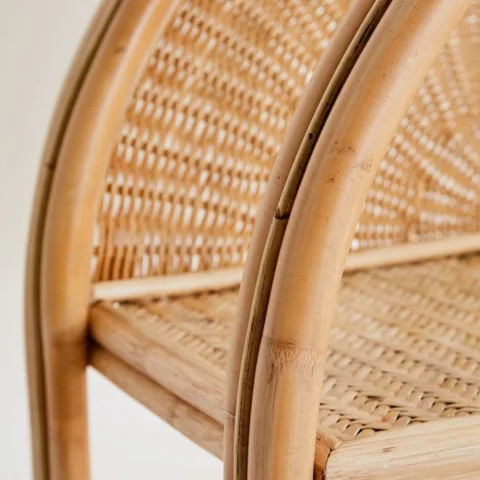 Rattan BookShelf Stand