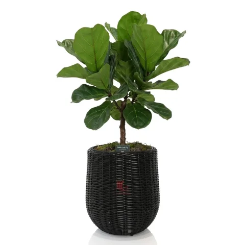 Rattan Export PE Rattan Planter for Stylish Indoor And Outdoor Green Spaces - REX-M0778