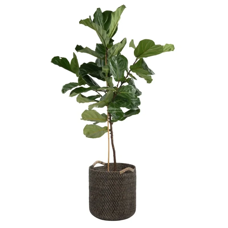 Multi Purpose Rattan Wicker Planter, Stogare Basket and Laundry Basket from Vietnam