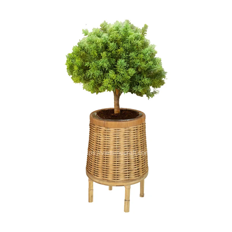 Better Home With Rattan Planter