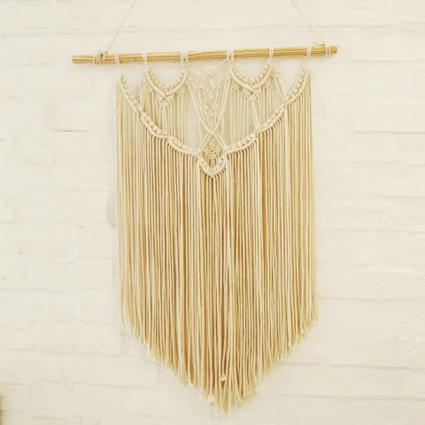 Fringe Dreams Handmade Macrame Wall Hanging