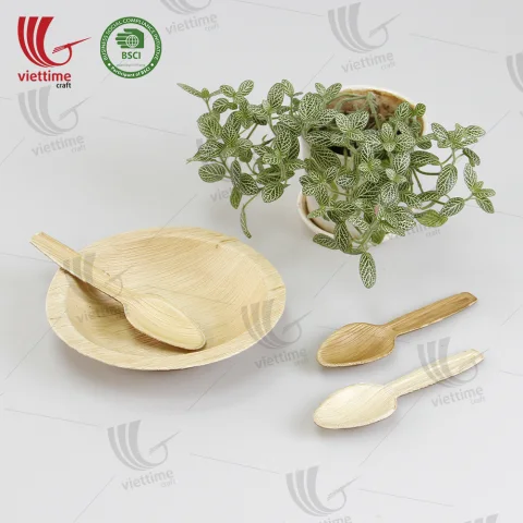 Collection Of Palm Leaf Disposable Tray