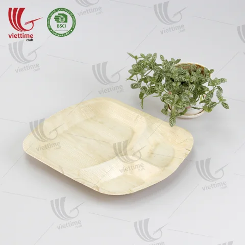 Collection Of Palm Leaf Disposable Tray