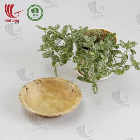 Palm Leaf Disposable Tray Wholesale
