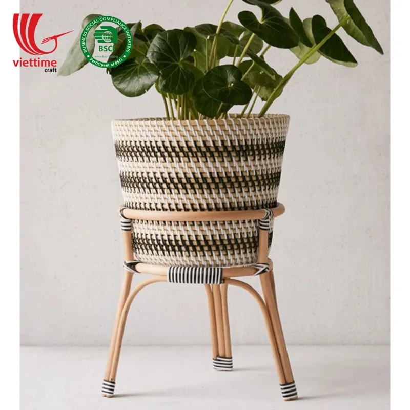 Rattan Plant Stand With Plastic String