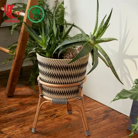 Rattan Plant Stand With Plastic String