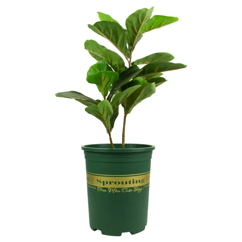 Plastic Flower Pot