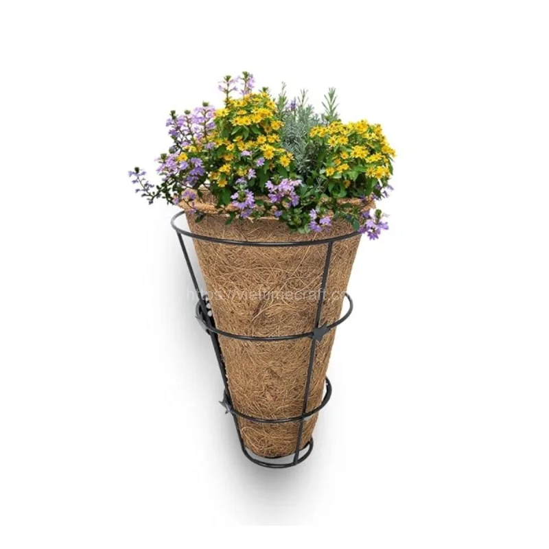 Conical Coconut Coir Planter for Indoor and Outdoor