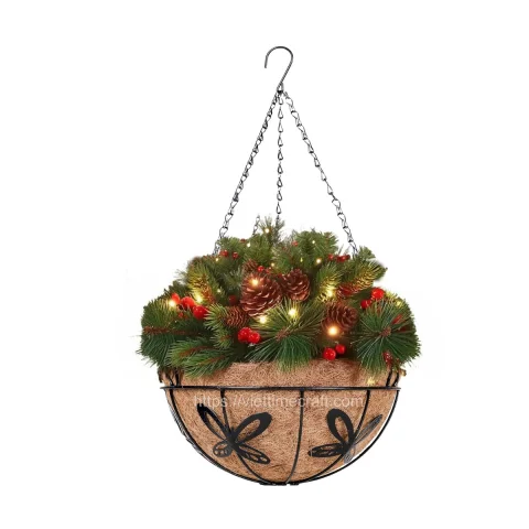 Semicircular Coconut Coir Pot for Indoor and Outdoor