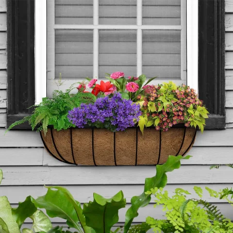 Oval Coconut Coir Planter for Indoor and Outdoor